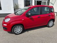Gebraucht Fiat Panda 71 PS (52 kW) 2025 Rot Kleinwagen