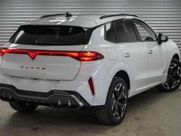 Neu Cupra Terramar VZ 265 PS (194 kW) 2025 Nevadaweiss metallic (2y) SUV