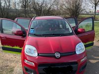 Gebraucht Fiat Panda 68 PS (50 kW) 2014 Rot Kleinwagen