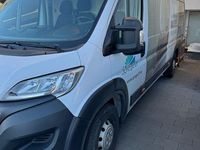 Gebraucht Opel Movano 165 PS (121 kW) 2023 Weiß Van / Kleinbus