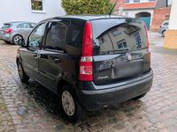 Gebraucht Fiat Panda Dynamic 69 PS (50 kW) 2012 Schwarz Kleinwagen