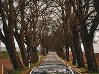 Gebraucht Mercedes C63S AMG AMG 510 PS (375 kW) 2017 Weiß Coupé