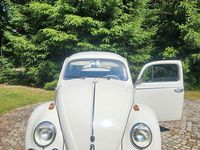 Gebraucht VW Käfer 34 PS (25 kW) 1975 Weiß