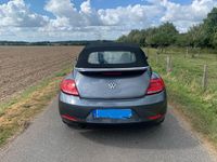 Gebraucht VW Beetle Allstar 105 PS (77 kW) 2016 Grau Kleinwagen