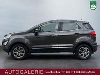Gebraucht Ford Ecosport Titanium 101 PS (74 kW) 2019 Grau SUV