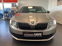 Gebraucht Skoda Octavia Drive 116 PS (85 kW) 2017 Beige Limousine