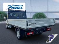 Nowe Ford Transit Trend 131 KM (96 kW) 2025 Biały