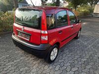 Gebraucht Fiat Panda Active 54 PS (39 kW) 2009 Rot Kleinwagen