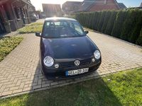 Gebraucht VW Lupo Basis 50 PS (36 kW) 2002 Schwarz Kleinwagen
