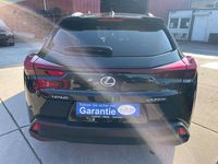 Gebraucht Lexus UX 250h 184 PS (135 kW) 2023 Graphite black SUV