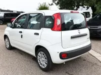Neu Fiat Panda 69 PS (50 kW) 2025 Gelato weiß gelato weiß Kleinwagen