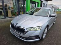 Gebraucht Skoda Octavia Selection 150 PS (110 kW) 2024 Graphitegrau metallic Kombi