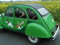 Gebraucht Citroën Ami 8 34 PS (25 kW) 1988 Grün Cabrio