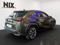 gebraucht Lexus UX 250h SCHIEBEDACH PREMIUM PAKET KAMERA