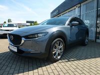 Gebraucht Mazda CX-30 Selection 186 PS (136 kW) 2022 Grau SUV