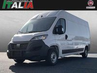 Gebraucht Fiat Ducato 140 PS (102 kW) 2023 Weiss Van