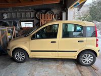 Gebraucht Fiat Panda 69 PS (50 kW) 2012 Gelb Kleinwagen
