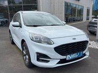Gebraucht Ford Kuga ST-Line X 150 PS (110 kW) 2020 Weiß SUV