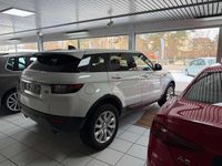 Gebraucht Land Rover Range Rover evoque SE 150 PS (110 kW) 2018 Weiß SUV