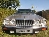 Gebraucht Jaguar XJ12 295 PS (216 kW) 1987 Gold Limousine