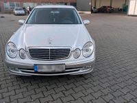 Gebraucht Mercedes E240 177 PS (130 kW) 2004 Grau Limousine
