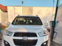 Gebraucht Chevrolet Captiva 160 PS (117 kW) 2013 Weiß SUV