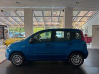 Neu Fiat Panda Icon 69 PS (50 kW) 2025 Blau Kleinwagen