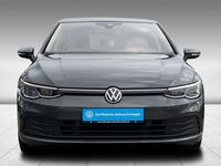gebraucht VW Golf VIII 1.5 eTSI DSG Life PDC Klima LED Navi Sitzhzg