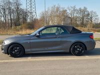 Gebraucht BMW 220 Shadowline 190 PS (139 kW) 2017 Grau Cabrio