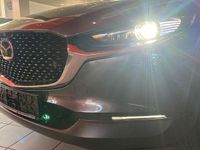 Gebraucht Mazda CX-30 Selection 179 PS (131 kW) 2021 Grau SUV