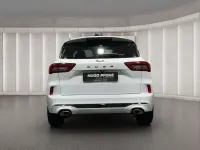 Gebraucht Ford Kuga ST-Line X 186 PS (136 kW) 2024 Frozen white SUV