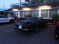 gebraucht Jaguar XJ6 Serie 3 Nr. 33 der letzten nach Deutschland