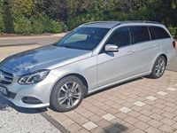 Gebraucht Mercedes E250 Avantgarde 204 PS (150 kW) 2015 Silber Kombi