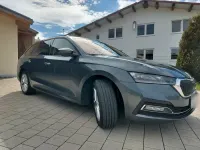 Gebraucht Skoda Octavia Style 150 PS (110 kW) 2020 Grau Kombi