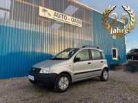 Gebraucht Fiat Panda Active 54 PS (39 kW) 2006 Grau Kleinwagen