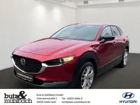 Gebraucht Mazda CX-30 Homura-Line 186 PS (136 kW) 2023 Rot SUV