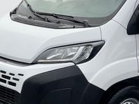 Neu Fiat Ducato 179 PS (131 kW) 2025 549 weiss 549 weiss Van