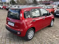 Używany Fiat Panda 69 KM (50 kW) 2026 Czerwony Hatchback