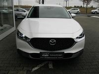 Usata Mazda CX-30 Selection 150 CV (110 kW) 2020 Bianco SUV
