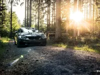 Gebraucht BMW M235 M Performance 326 PS (239 kW) 2015 Grau Coupé