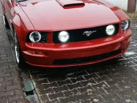 Gebraucht Ford Mustang GT 305 PS (224 kW) 2009 Rot Coupé