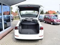 Gebraucht VW Golf VIII Life 116 PS (85 kW) 2021 Pure white Kombi