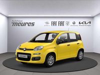 Neu Fiat Panda 69 PS (50 kW) 2025 Gelb Kleinwagen