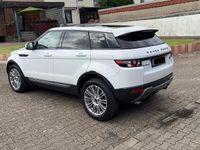 Gebraucht Land Rover Range Rover 150 PS (110 kW) 2013 SUV