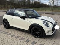 Gebraucht Mini Cooper Chili 136 PS (100 kW) 2019 Kleinwagen