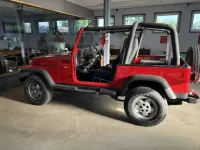 Gebraucht Jeep Wrangler 121 PS (88 kW) 1992 Rot SUV
