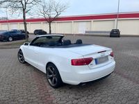 gebraucht Audi A5 Cabriolet 3xS-line 3.0 TDI Tüv Neu