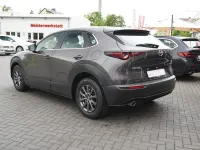 Gebraucht Mazda CX-30 Selection 150 PS (110 kW) 2020 Grau SUV