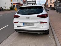 Gebraucht Hyundai Tucson 184 PS (135 kW) 2020 Weiß SUV