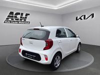 Gebraucht Kia Picanto 67 PS (49 kW) 2023 Weiß Kleinwagen